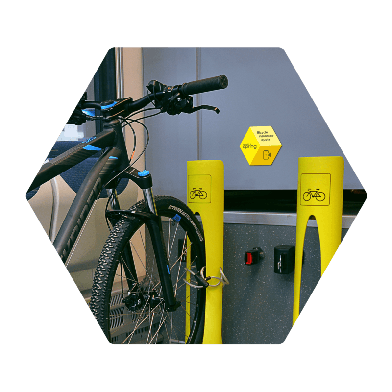 SPRING Hex bicycle insure copy