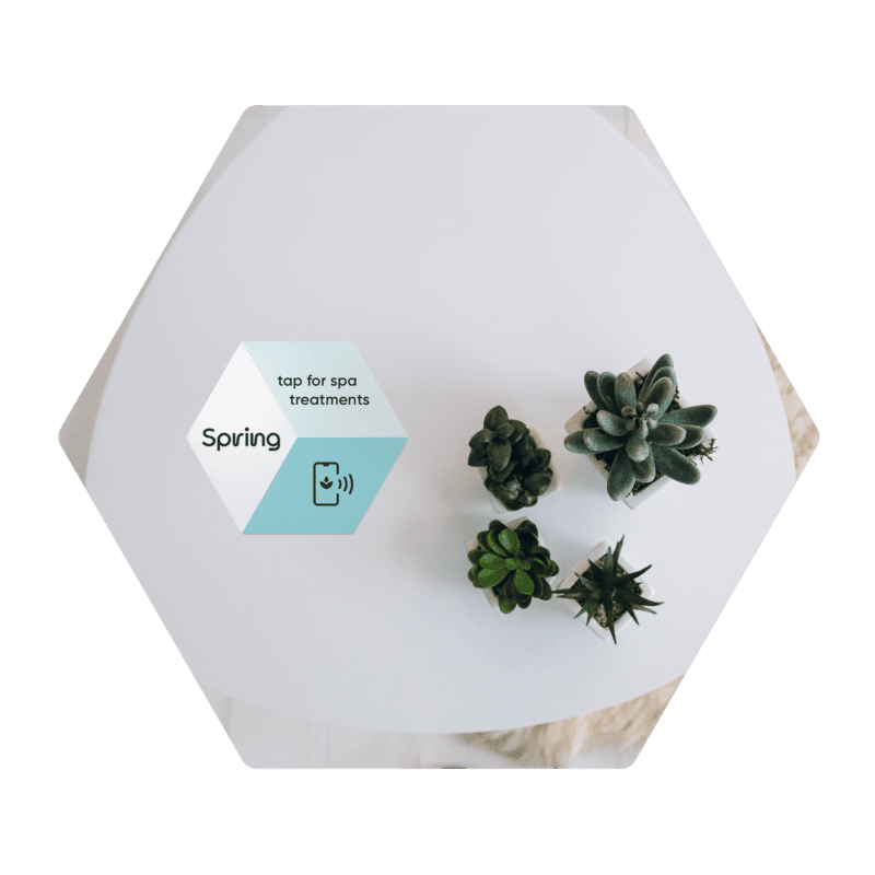 SPRING Hex spa treatment copy